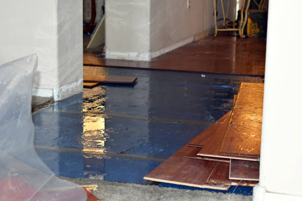 Professional Basement Flood Cleanup technician working in Shawnee, OH